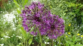DSCF2040.webp