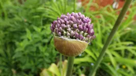 DSCF2042.webp