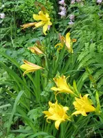 015_576x768.webp