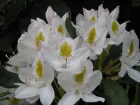 016_1024x768.webp