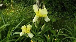 DSCF2054.webp