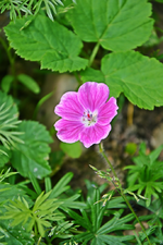 DSC_4582.webp