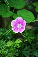 DSC_4589.webp