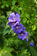 DSC_4592.webp