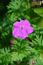 DSC_4605.webp