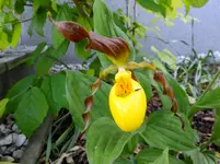 DSCF9392.webp