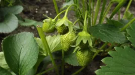 DSCF2058.webp