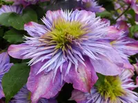 DSCF9307.webp