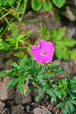 DSC_4583.webp