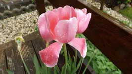 DSCF2070.webp