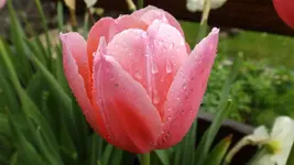 DSCF2072.webp