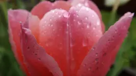 DSCF2073.webp