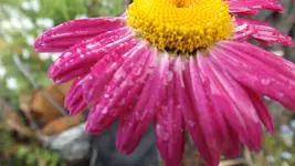 DSCF2102.webp
