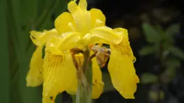 DSCF2108.webp