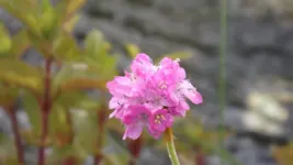 DSCF2112.webp