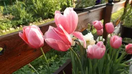 DSCF2169.webp