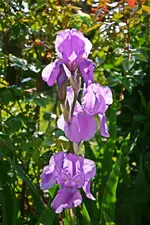 DSC_4580.webp