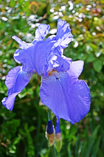DSC_4586.webp