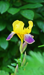 DSC_4588.webp