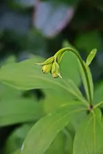 DSC_4584.webp
