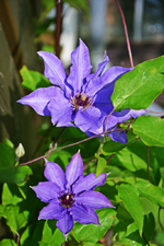 DSC_4595.webp