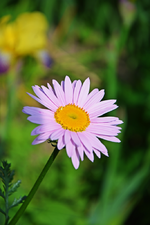 DSC_4598.webp