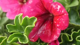 DSCF2120.webp