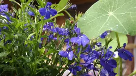 DSCF2125.webp