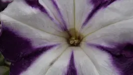 DSCF2129.webp