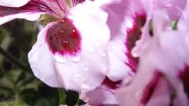 DSCF2143.webp