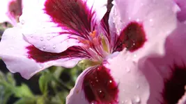DSCF2144.webp