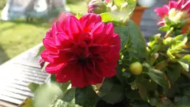 DSCF2147.webp