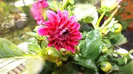 DSCF2148.webp