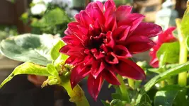DSCF2149.webp