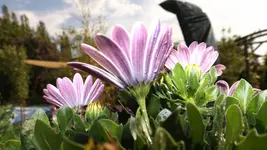 DSCF2155.webp