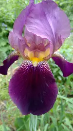 IMG_20150526_155059.webp