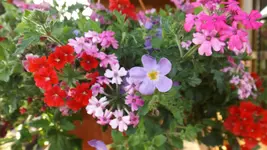 DSCF2158.webp