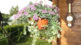 DSCF2165.webp
