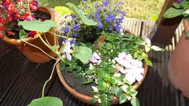 DSCF2162.webp