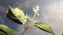 DSCF2170.webp