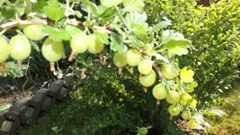 DSCF2178.webp