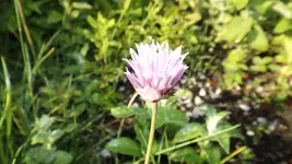 DSCF2187.webp