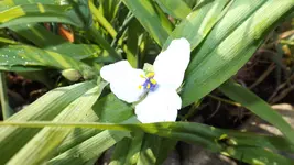 DSCF2190.webp