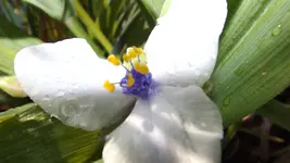 DSCF2191.webp