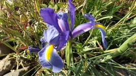 DSCF2192.webp