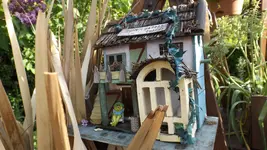 DSCF2195.webp