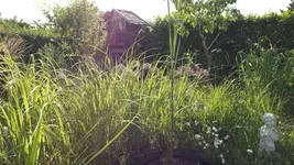 DSCF2205.webp