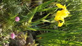 DSCF2206.webp