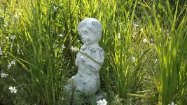 DSCF2210.webp
