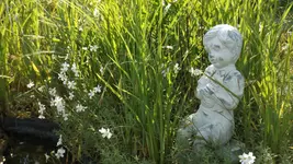 DSCF2211.webp